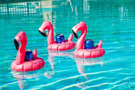 Naples / Marco Island KOA Holiday