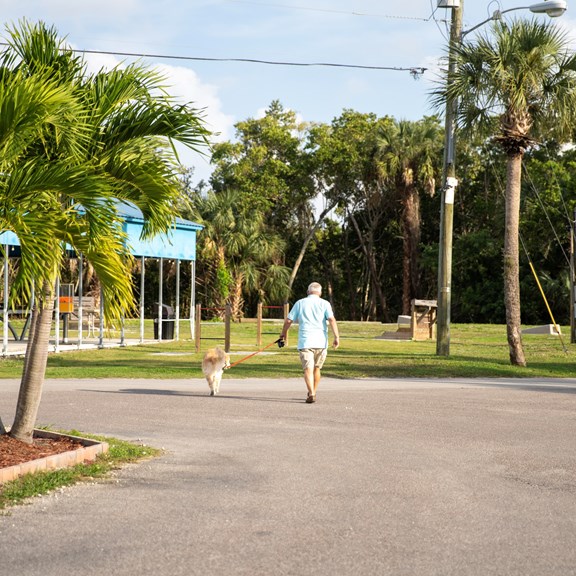 Plan a trip to Tedder, Florida