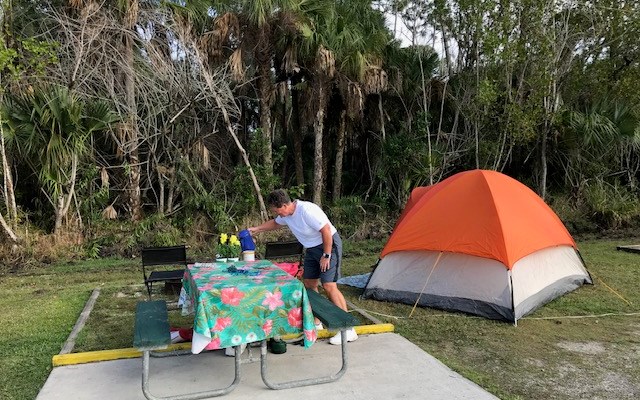 Naples Marco Island Koa Holiday Sitetypes