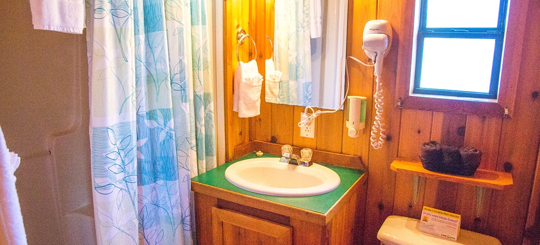 Deluxe Cabin bathroom