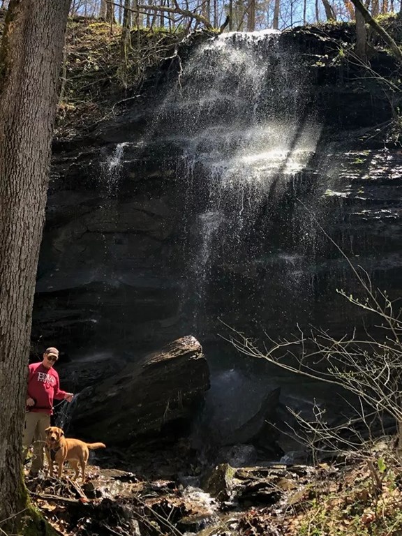 Natchez Trace Parkway