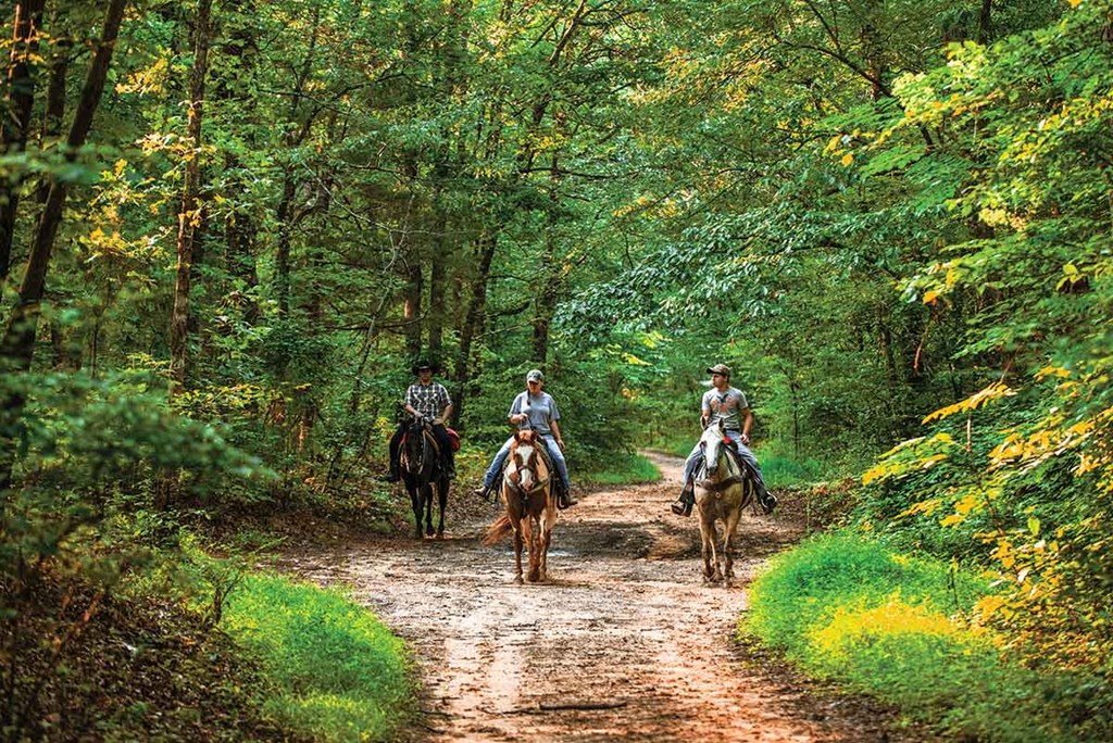 Horseback Riding Near Nashville East KOA
