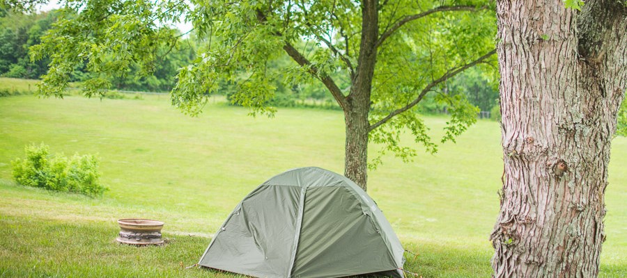 Grassy primitive tenting spots
