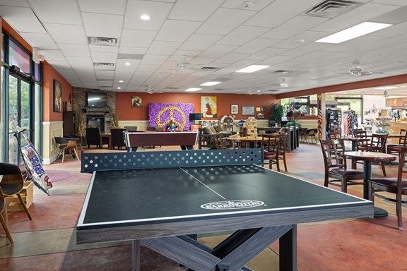 Ping Pong - Main Lounge