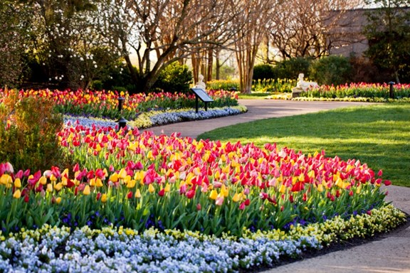 Cheekwood Estate and Gardens