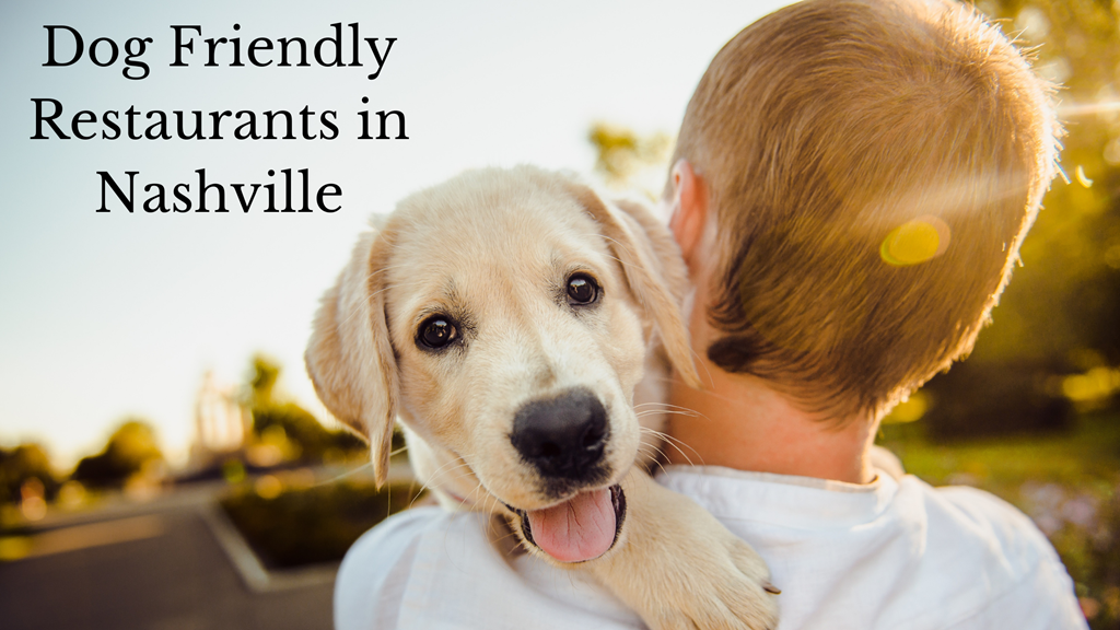 Five Dog Friendly Restaurants in Nashville