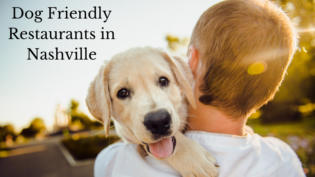 Dog Friendly Restaurants In Nashville