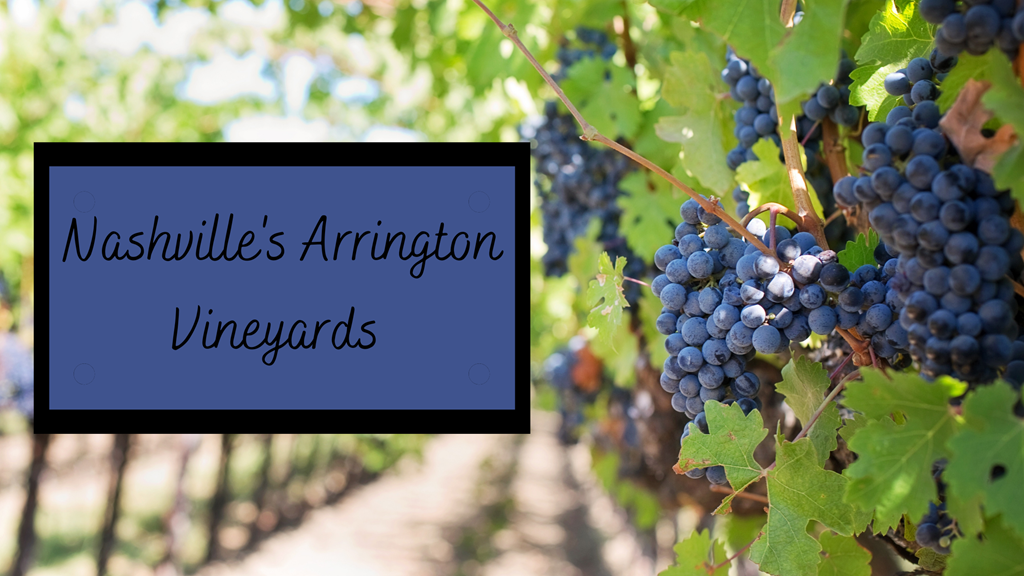 Nashville's Arrington Vineyards