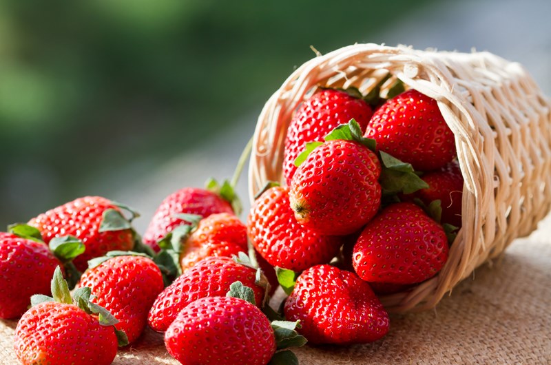 Annual Strawberry Festival Photo