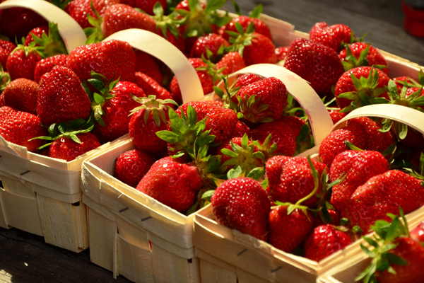83rd Annual Middle Tennessee Strawberry Festival Photo