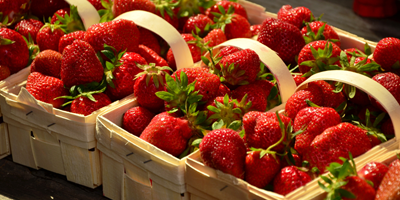83rd Annual Middle Tennessee Strawberry Festival