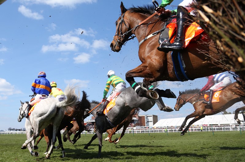 The Iroquois Steeplechase Photo