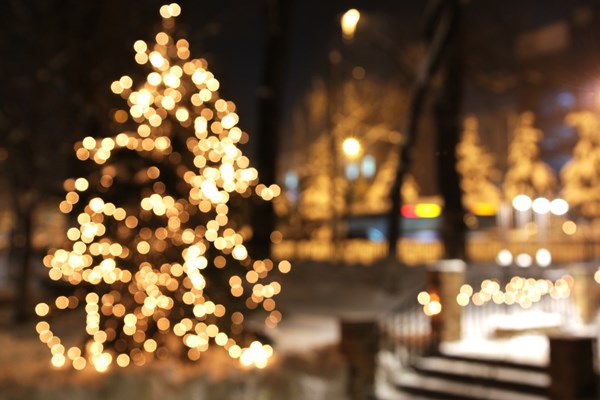 Holiday Lights at Cheekwood Estates Photo