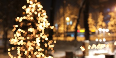 Holiday Lights at Cheekwood Estates