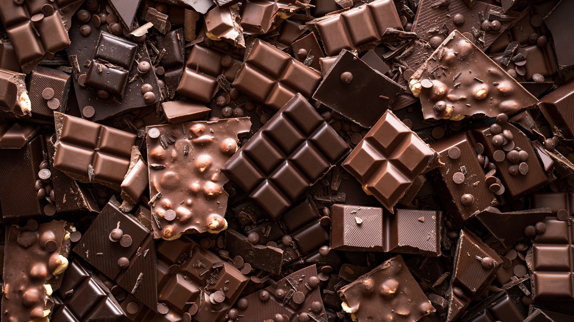 Chocolate Week Photo