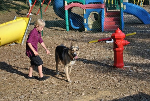 Kamp K-9