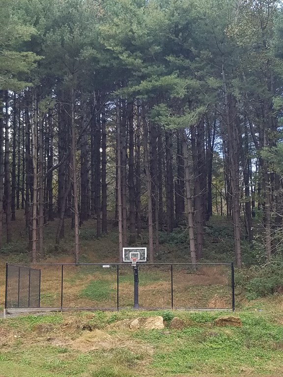 Basketball Court