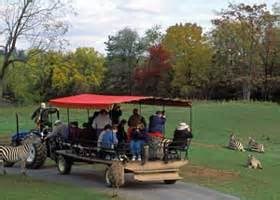 The Virginia Safari Park