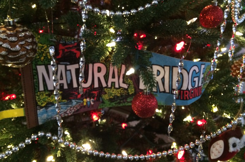 Festival of Trees Photo