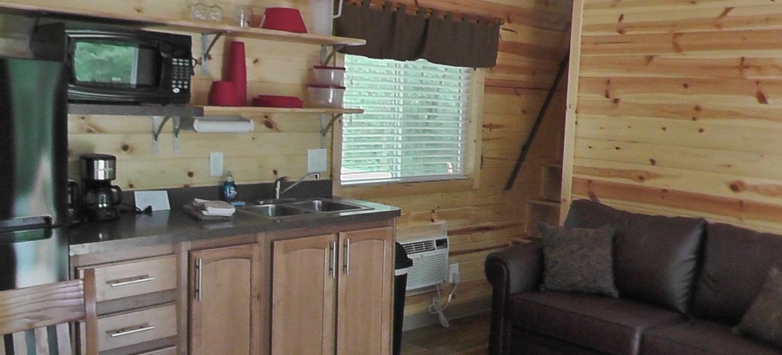 Kitchen/Living Room Deluxe Cabin (Lodge)