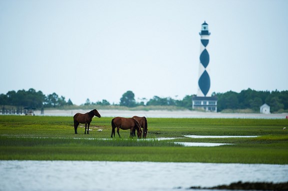 Cape Lookout National Seashore