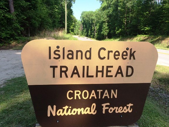Croatan National Forest
