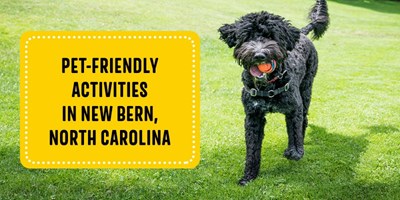 Pet-Friendly Activities in New Bern, North Carolina