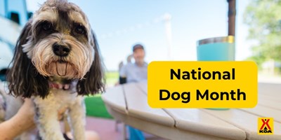 The Dogs We've Loved: Celebrating National Dog Month