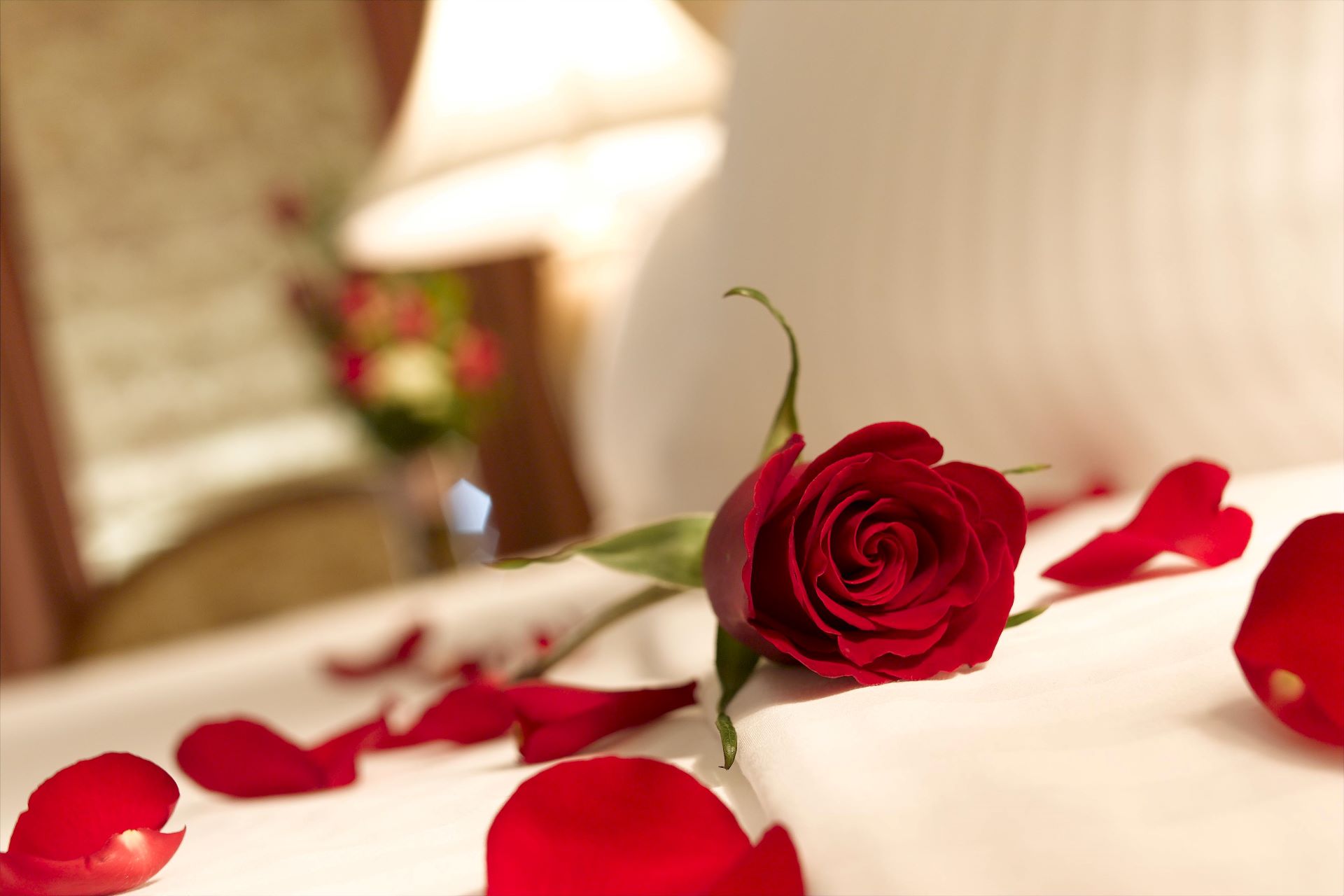 Valentine's at New Bern KOA Photo