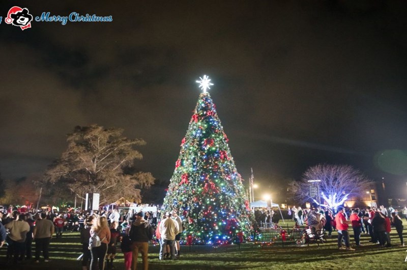 Community Christmas Tree Lighting  November 26th 5:50 - 6:30 Photo
