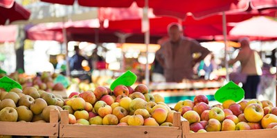 Campground on the Neuse River New Bern KOA Holiday