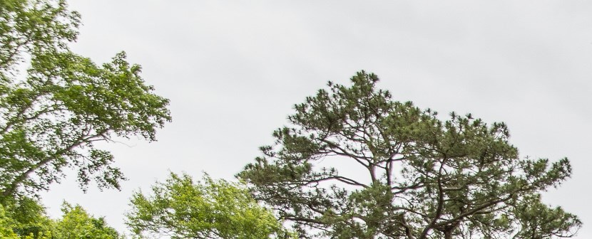 33180extendedstay8a54db85 1c71 41e6 b9f1 e7f48c5480d9