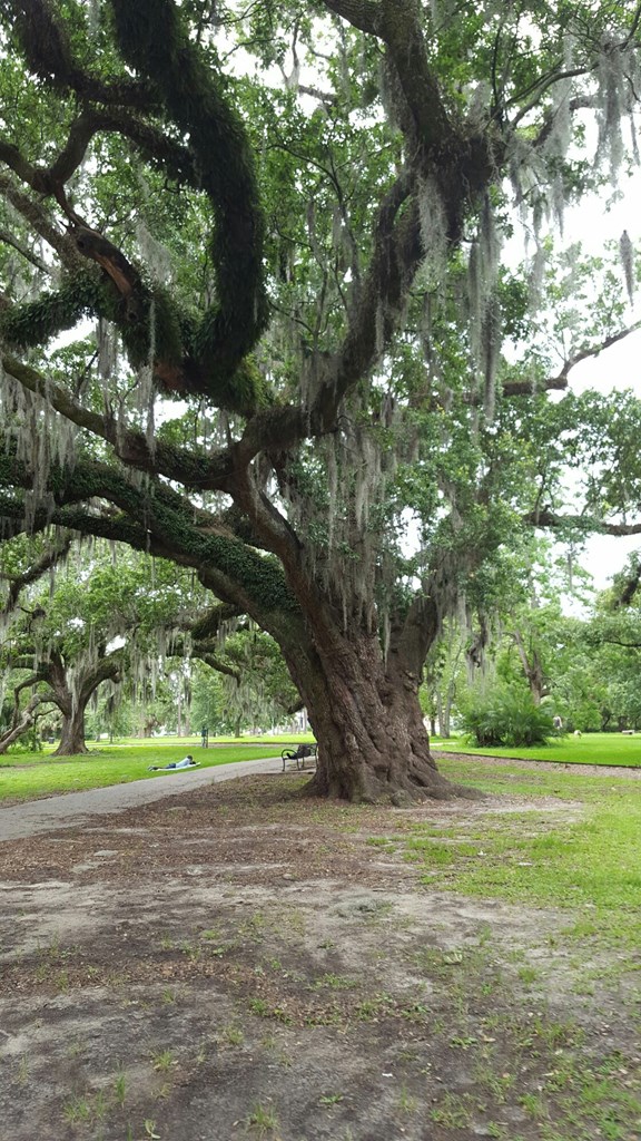 City Park