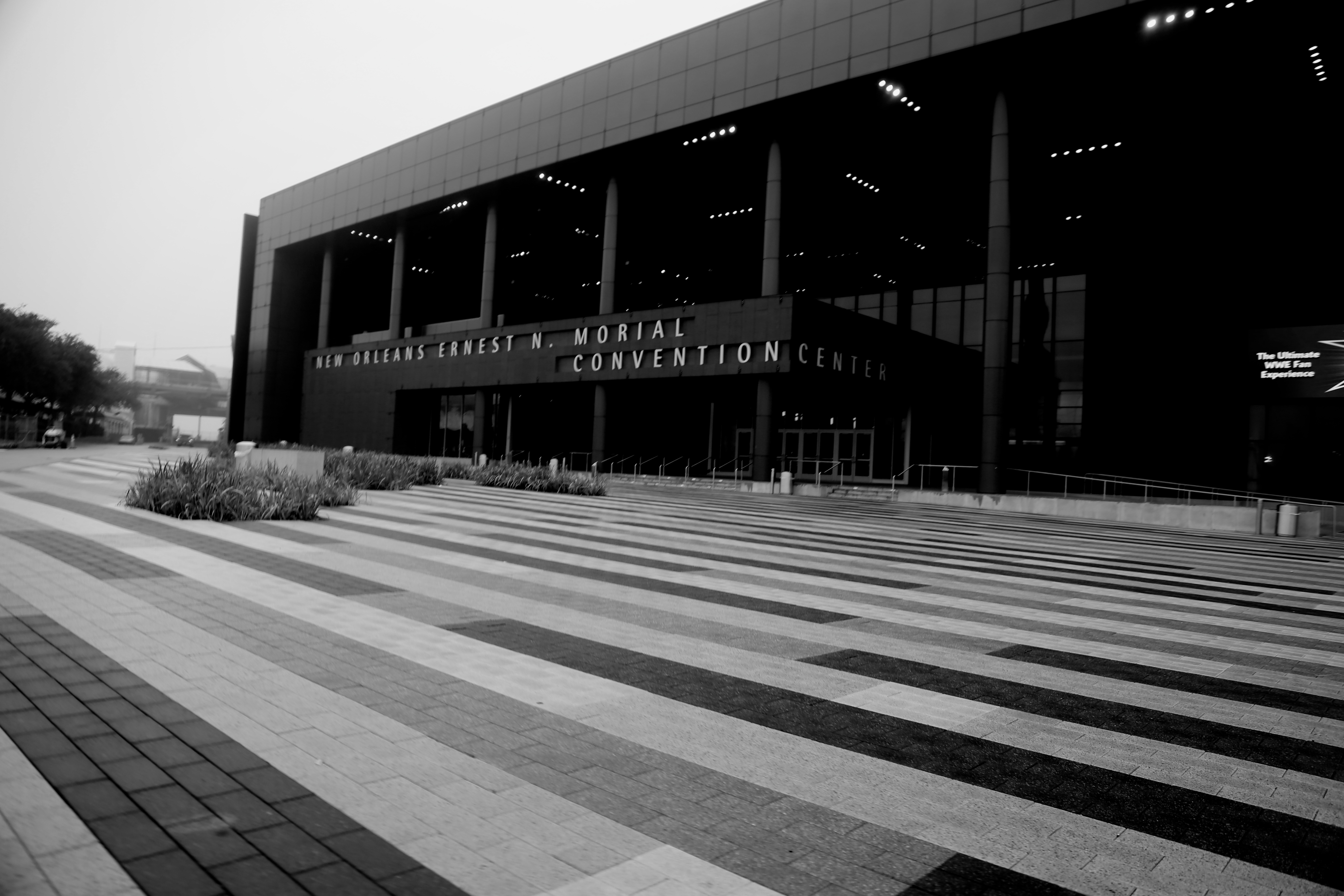 2026 Americas Selection of Bocuse d'Or and Pastry World Cup Photo