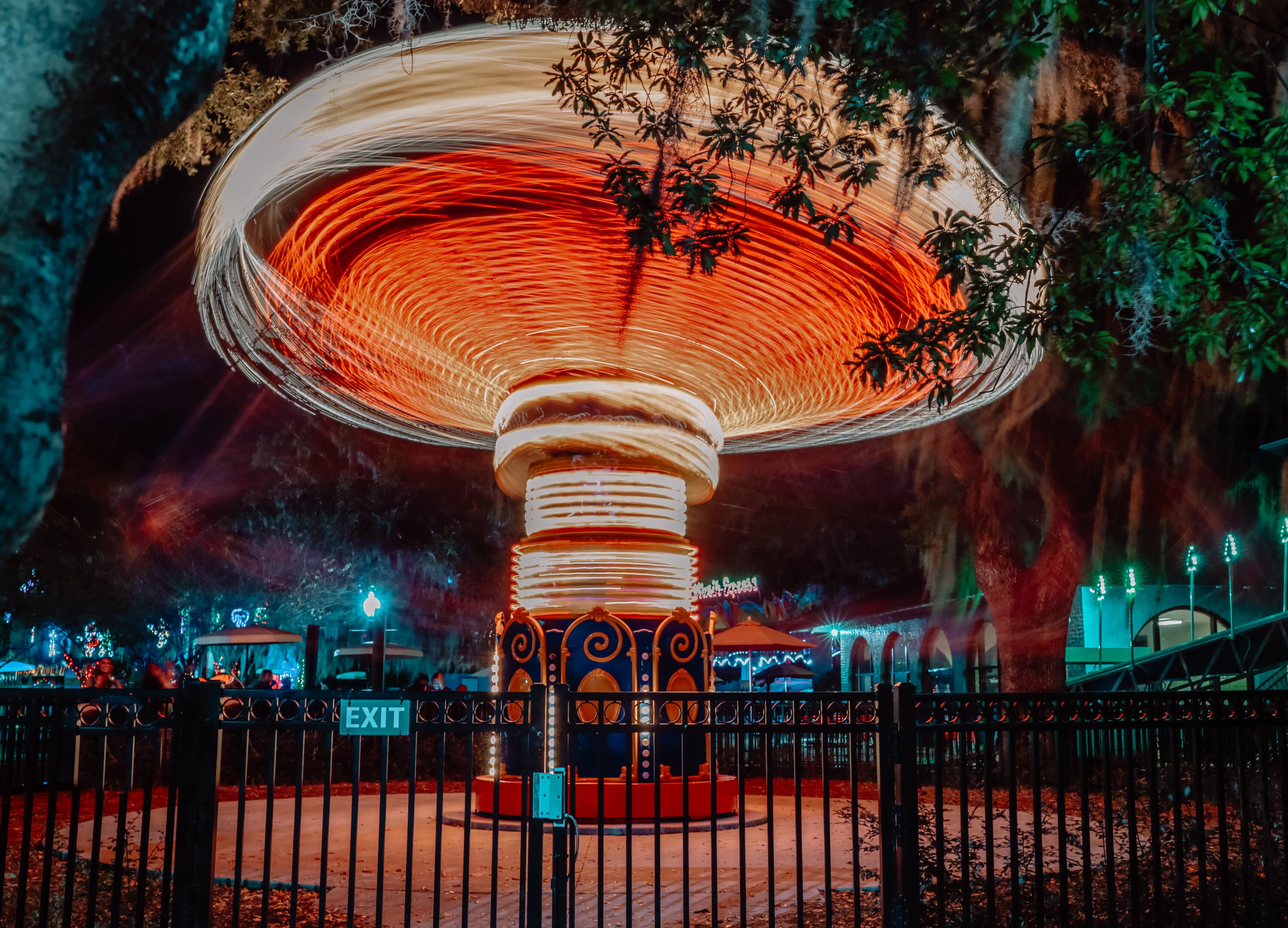 Glow in the Oaks Photo