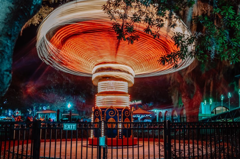 Glow in the Oaks Photo