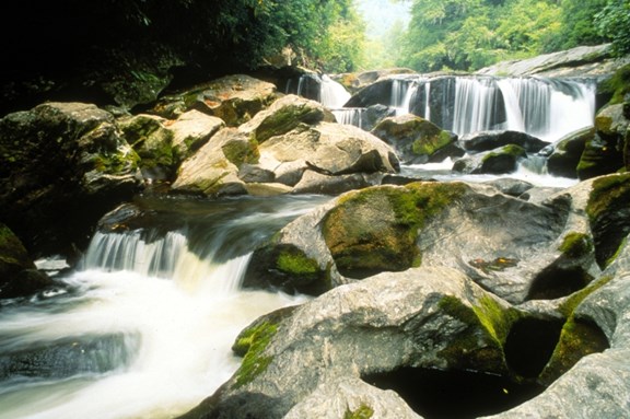 Sumter National Forest