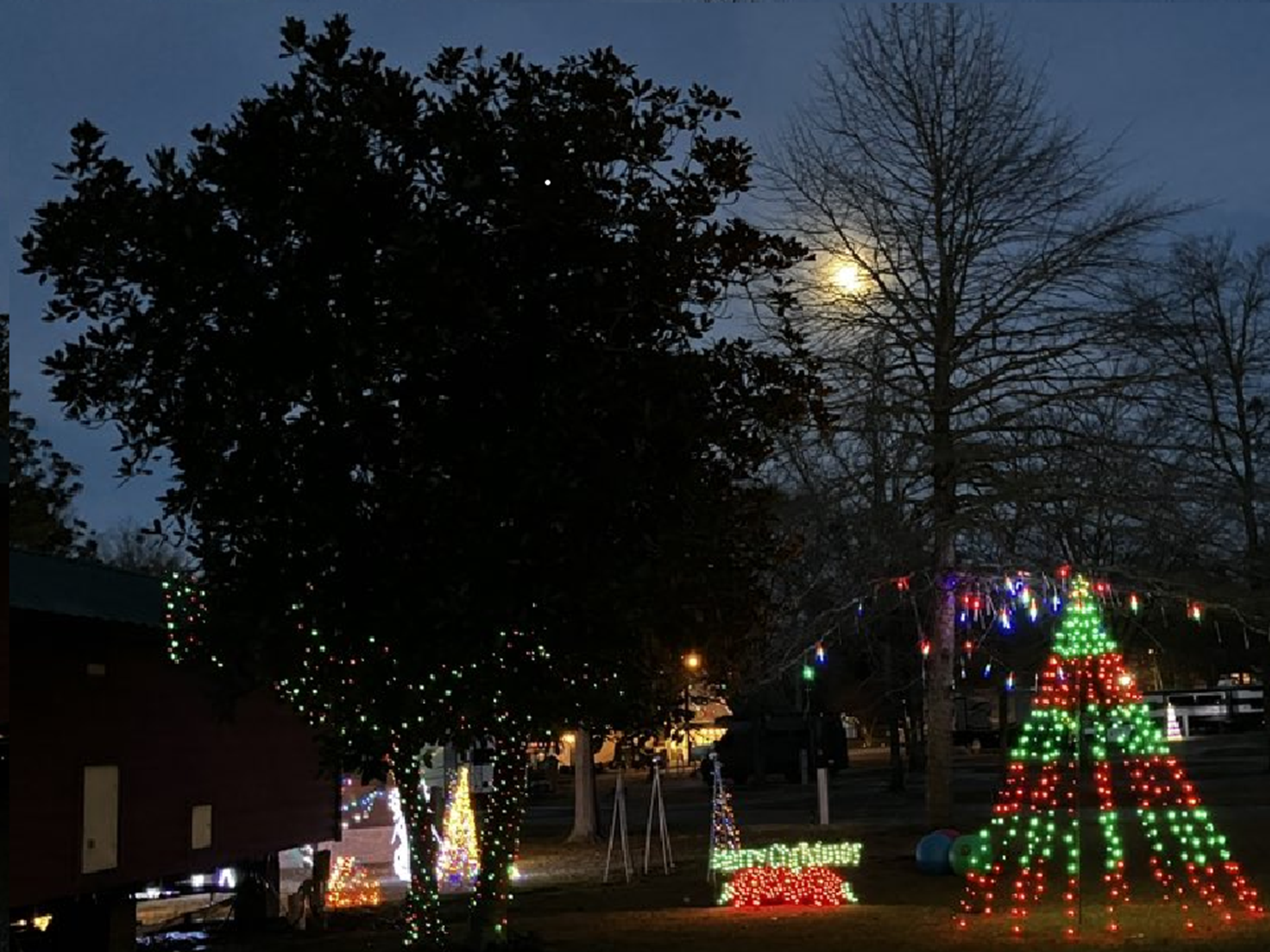 Light Up Night - A Gary Sinise Fundraiser Photo