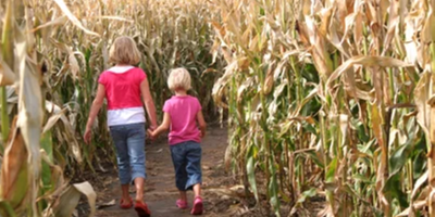 Lush Acre Farms Fall Festival & Corn Maze