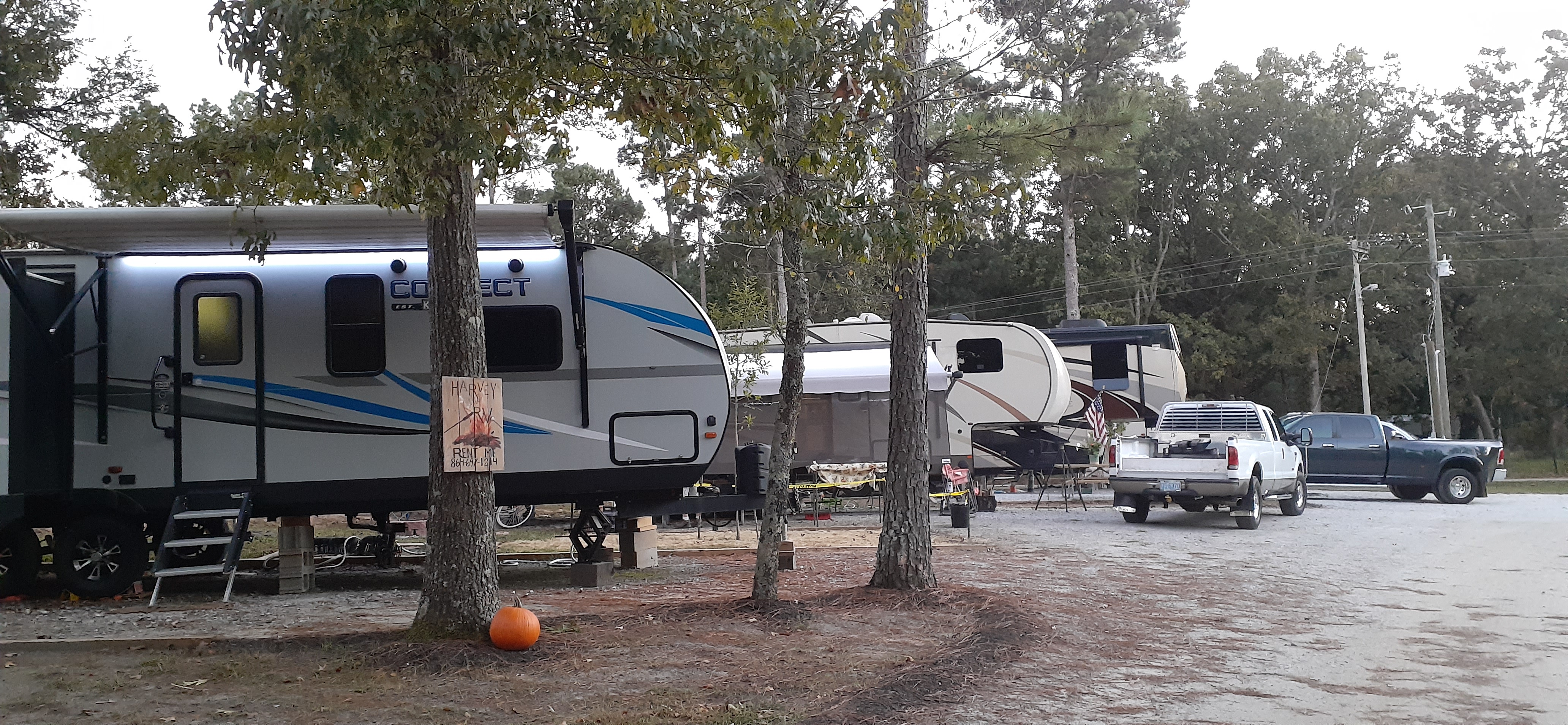 Kinards, South Carolina RV Camping Sites Newberry / I26 / Sumter NF