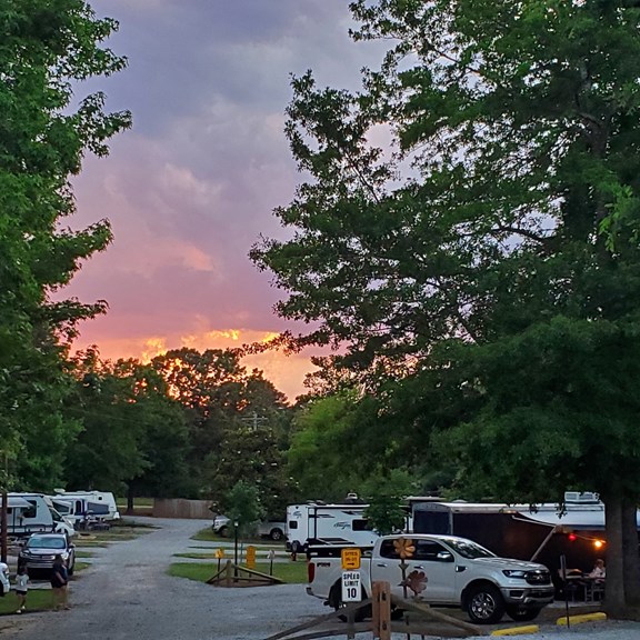Plan a trip to Saluda, South Carolina