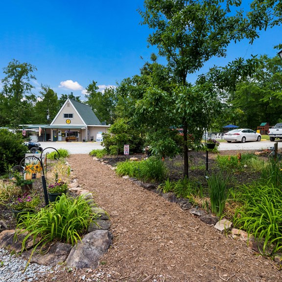 Plan a trip to Lincolnton, Georgia