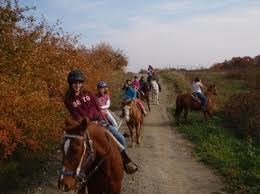 Horseback Riding