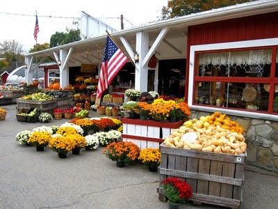 Farm Markets