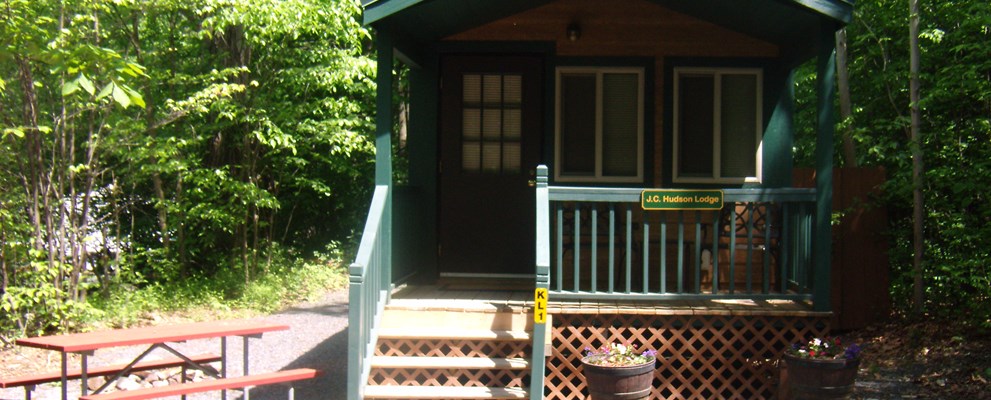 Deluxe Cabin with Queen Bed, Bunk Bed, and Sleeper Sofa. Grill Provided. Sleeps 6.