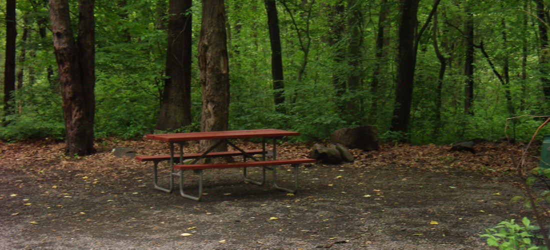 Picnic Table And Fire Ring Provided!