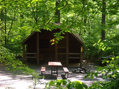 $75 Mid Week Rustic Cabin