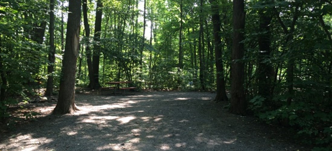 Wooded Tent Site. Level Gravel Pad.