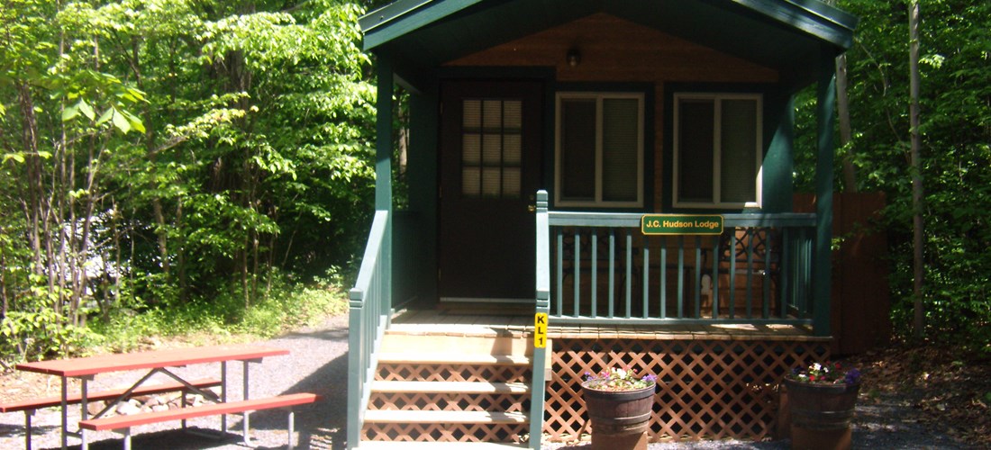 Deluxe Cabin with Queen Bed, Bunk Bed, and Sleeper Sofa. Grill Provided. Sleeps 6.