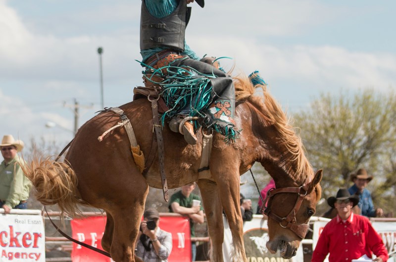 Newport Rodeo Event at the Newport / Little Diamond Lake KOA Holiday